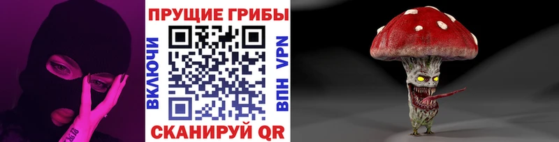 Галлюциногенные грибы мицелий  Венёв 